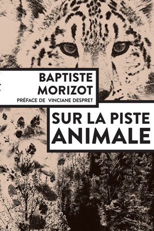 Sur la piste animale