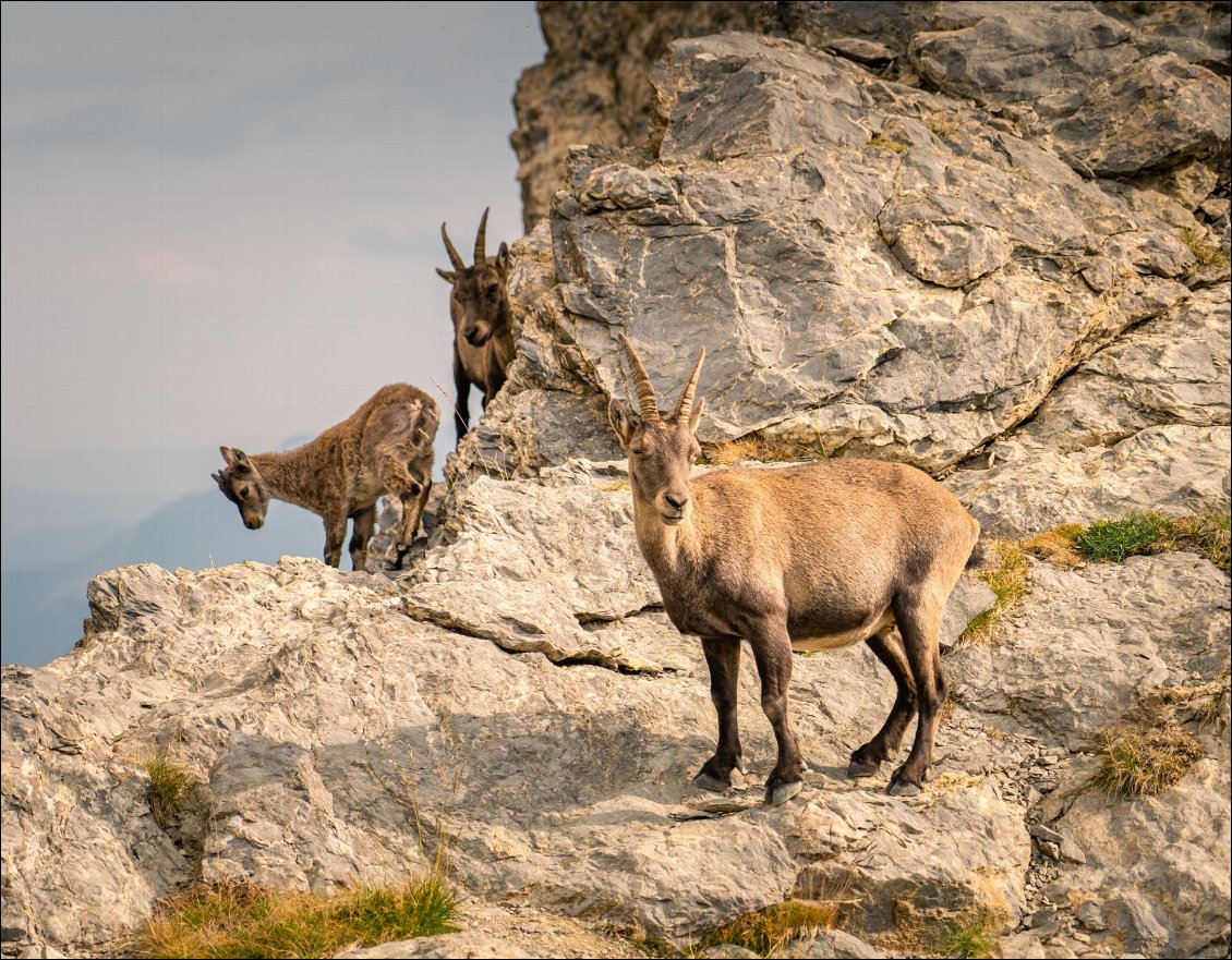 Photo de famille.