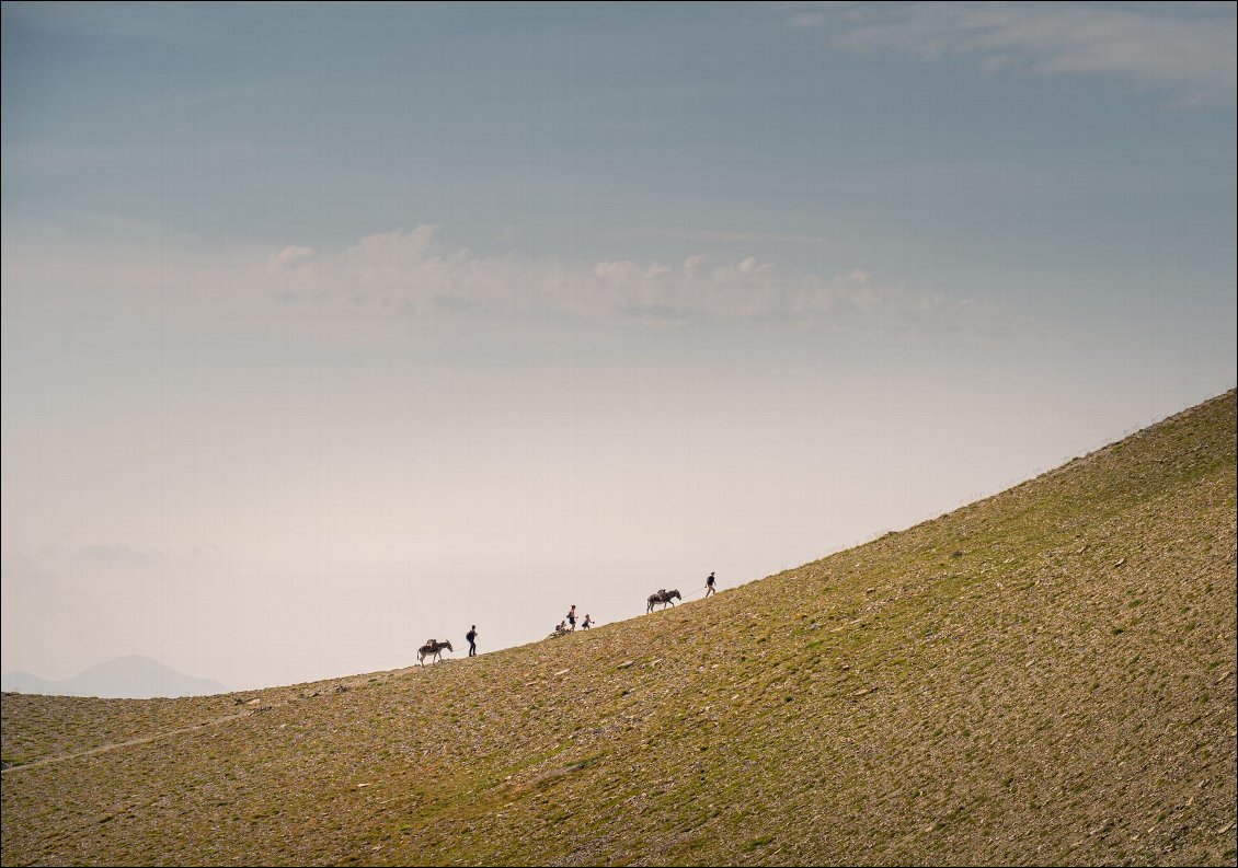 Procession.