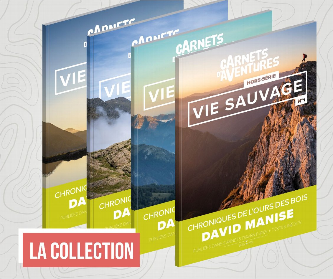 David Manise : Vie Sauvage Survie : L'intégrale 4 volumes