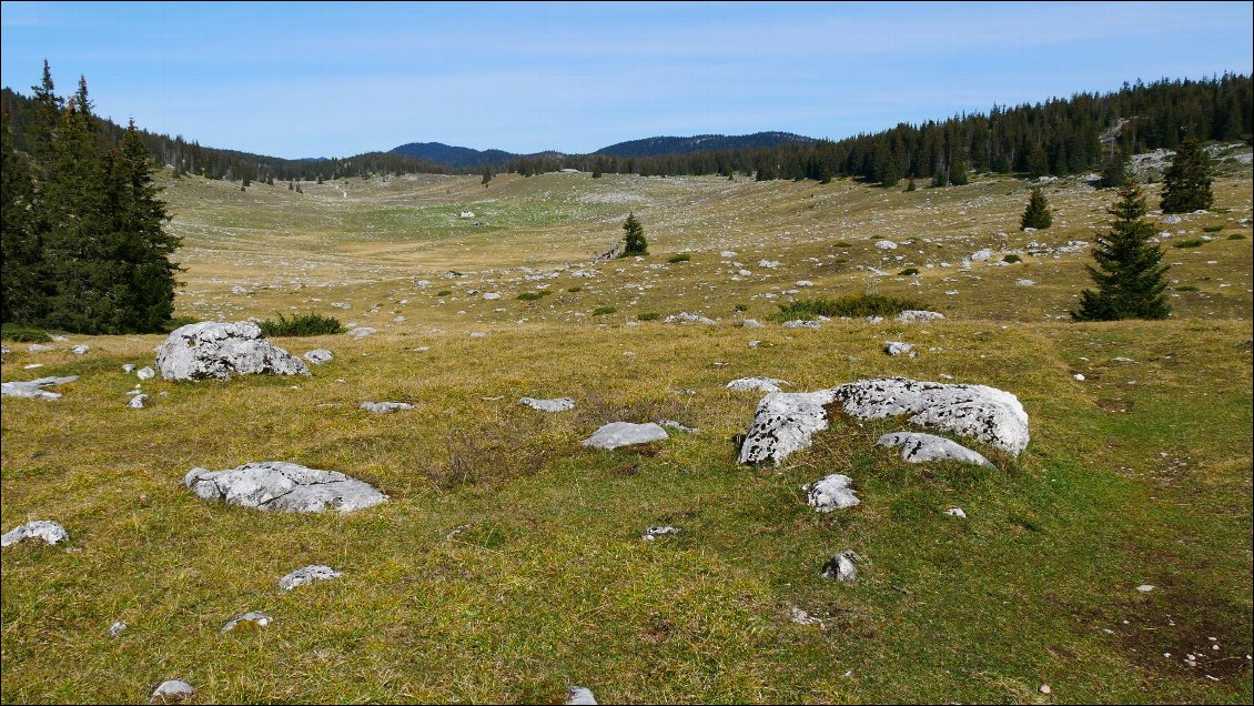 La prairie de Darbounouse