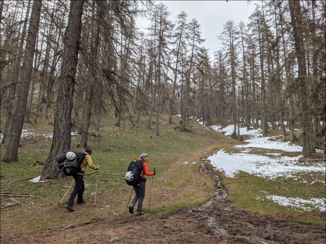 En s'élevant, on arrive à l'étage des mélèzes et des premiers névés résiduels.