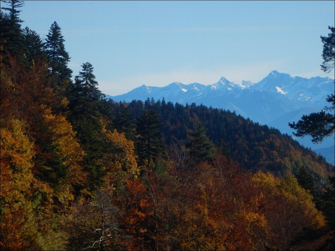 Vue sur les Écrins en quittant le Trièves