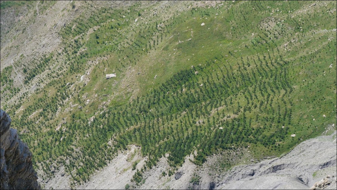 Un peu plus bas, ça ressemble à une plantation, sans doute pour tenter de stabiliser la zone