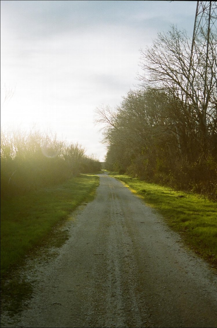 Sur la route de la vois vert viarhôna en direction d'Avignon