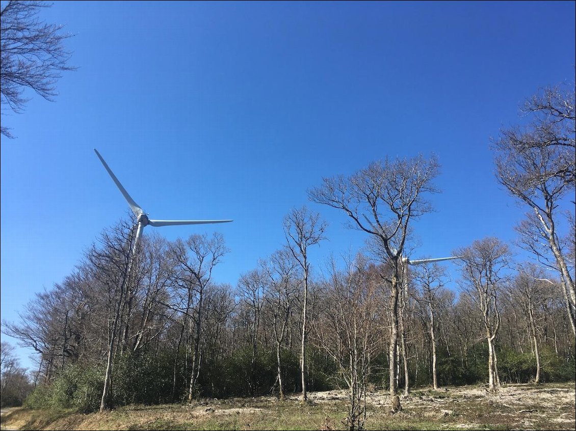 les éoliennes de la montagne noire après le lac du Montagnès