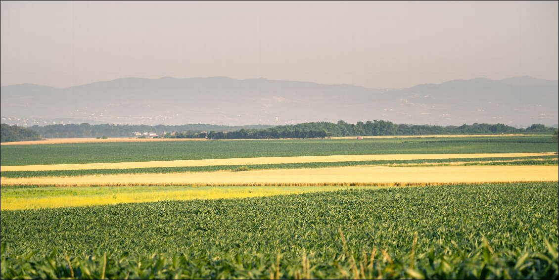 Les plateaux de l'Ain, et au fond, les collines du Beaujolais traversées la veille.