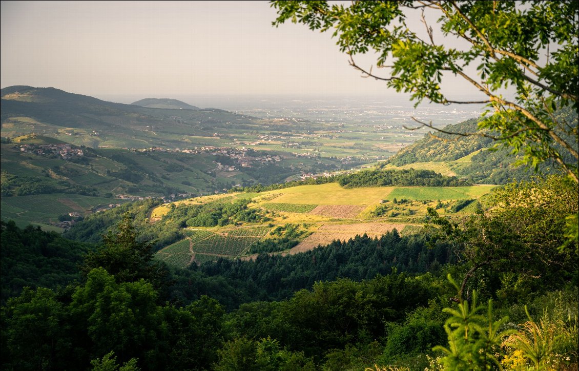 Petite traversée du Beaujolais.