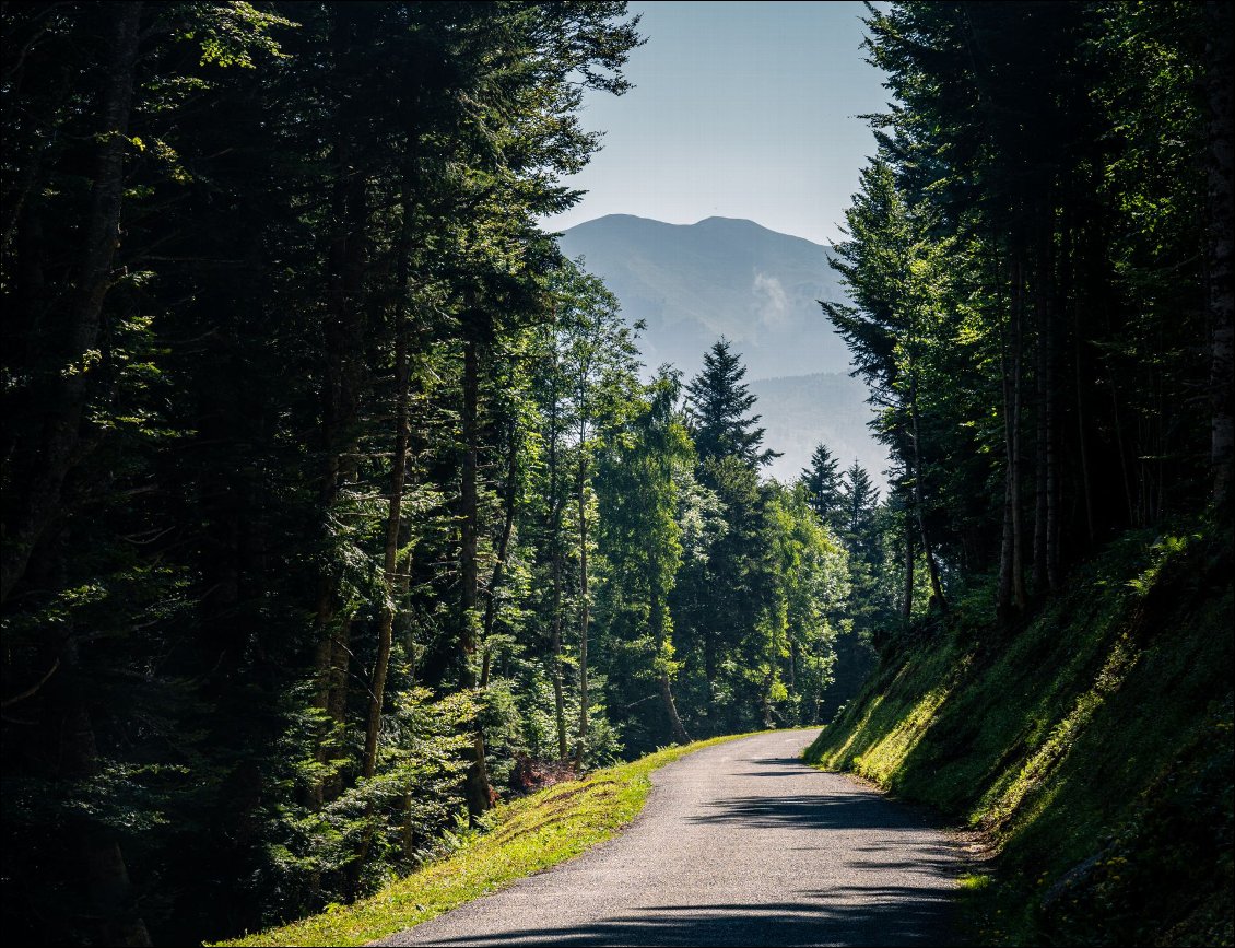 Descente vers Ancizan.