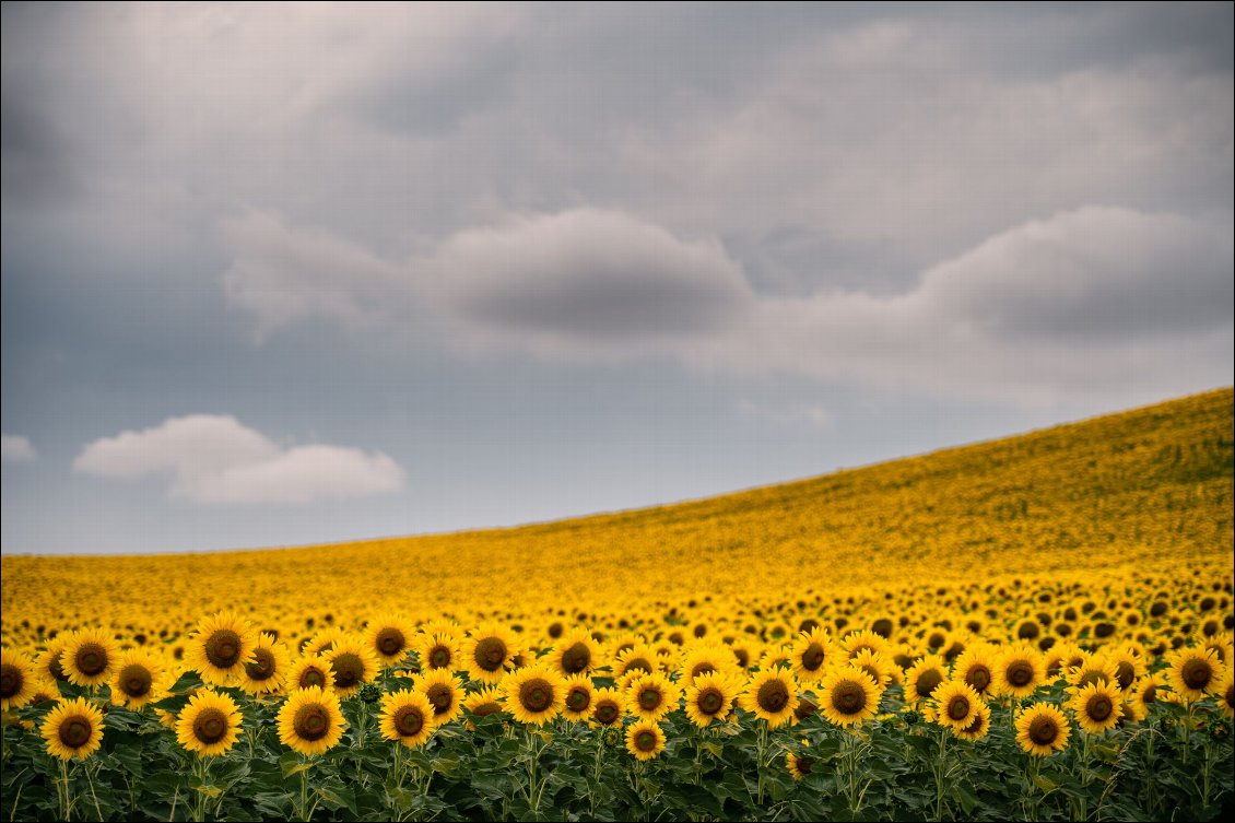 Le décor n'a rien à voir avec les jours précédents !