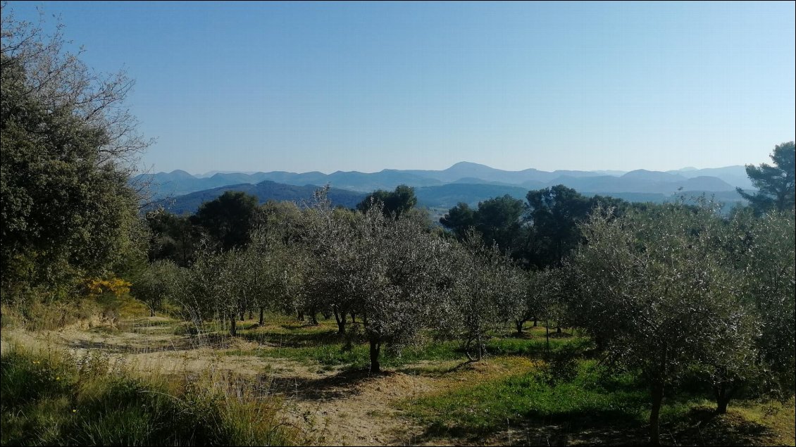 Km 34 : Près de Vaison la Romaine, vue vers le massif des Baronnies au Nord-Est.