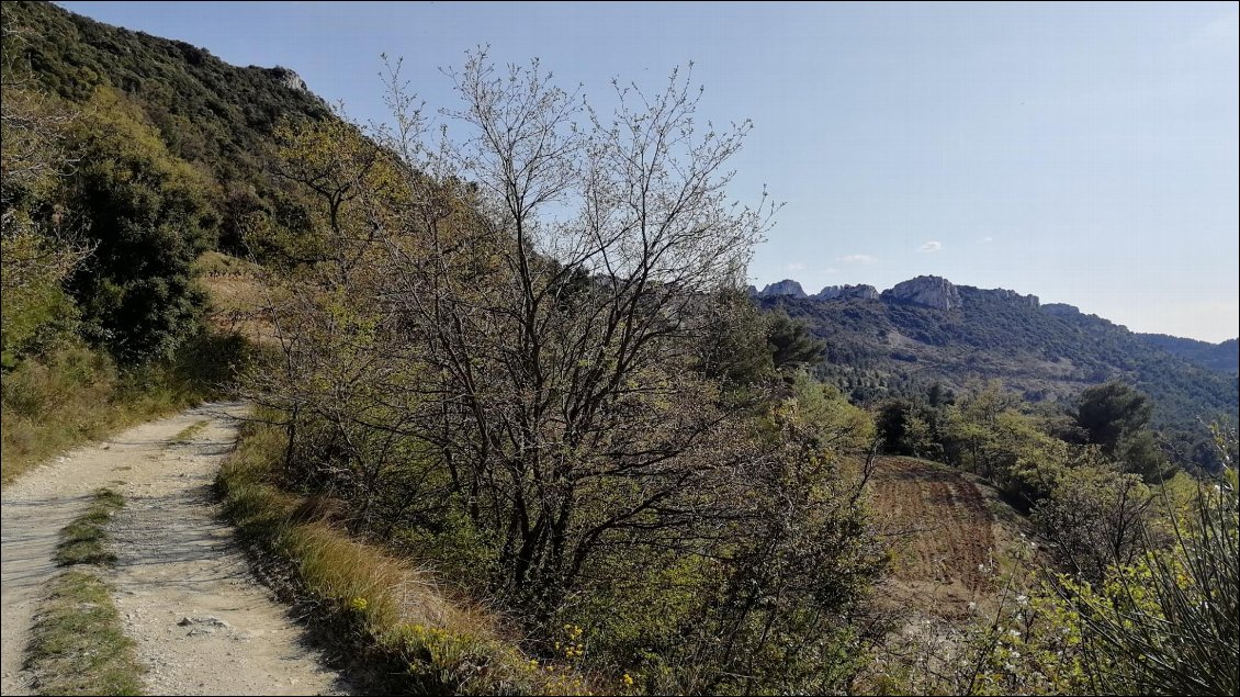 Km53 : On longe la crête de Saint Amand pour retrouver le coeur du massif.