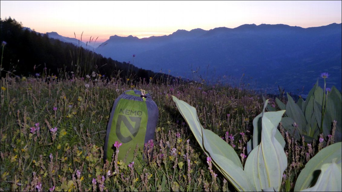 Un emplacement de bivouac fleuri