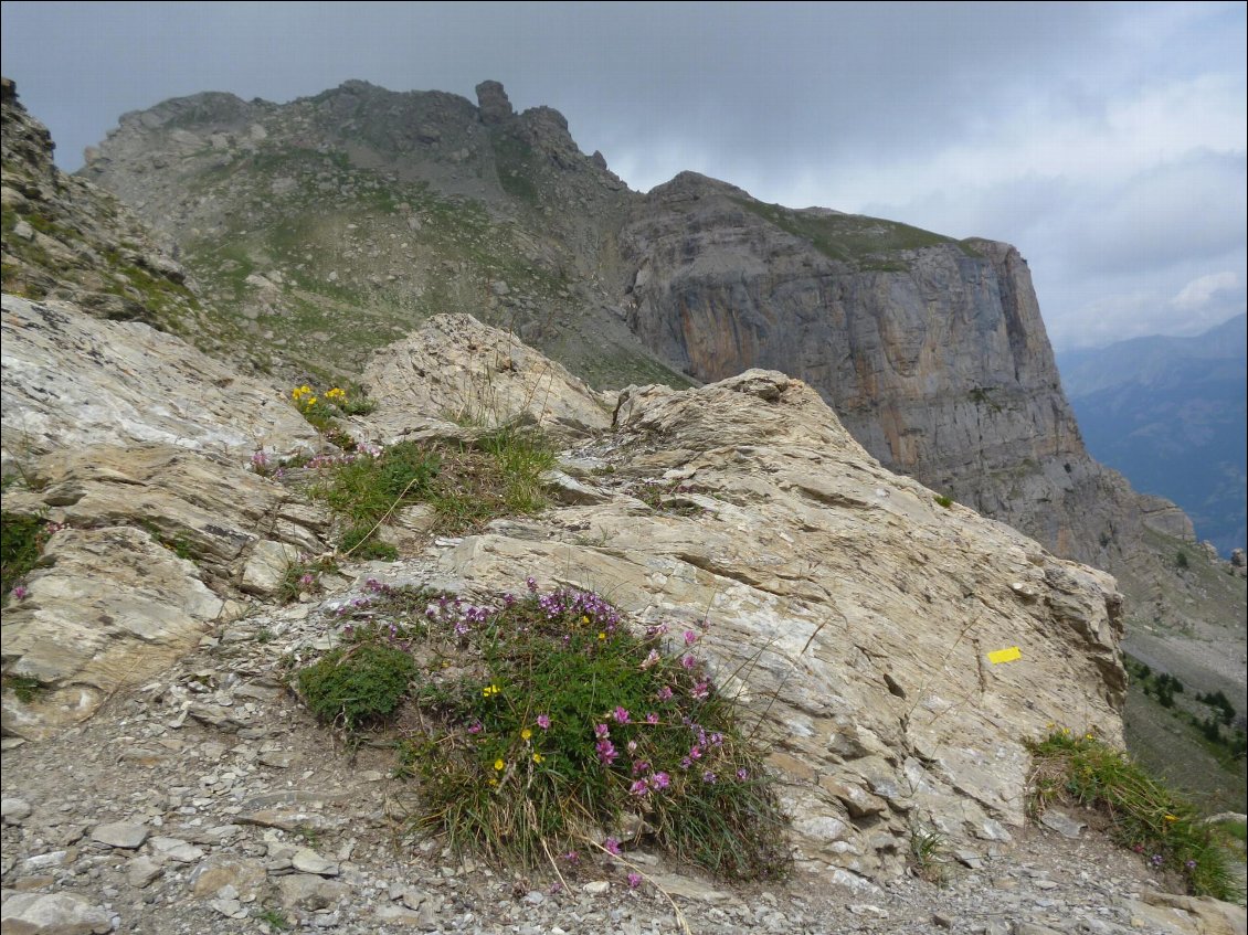 Le Col de Gyp