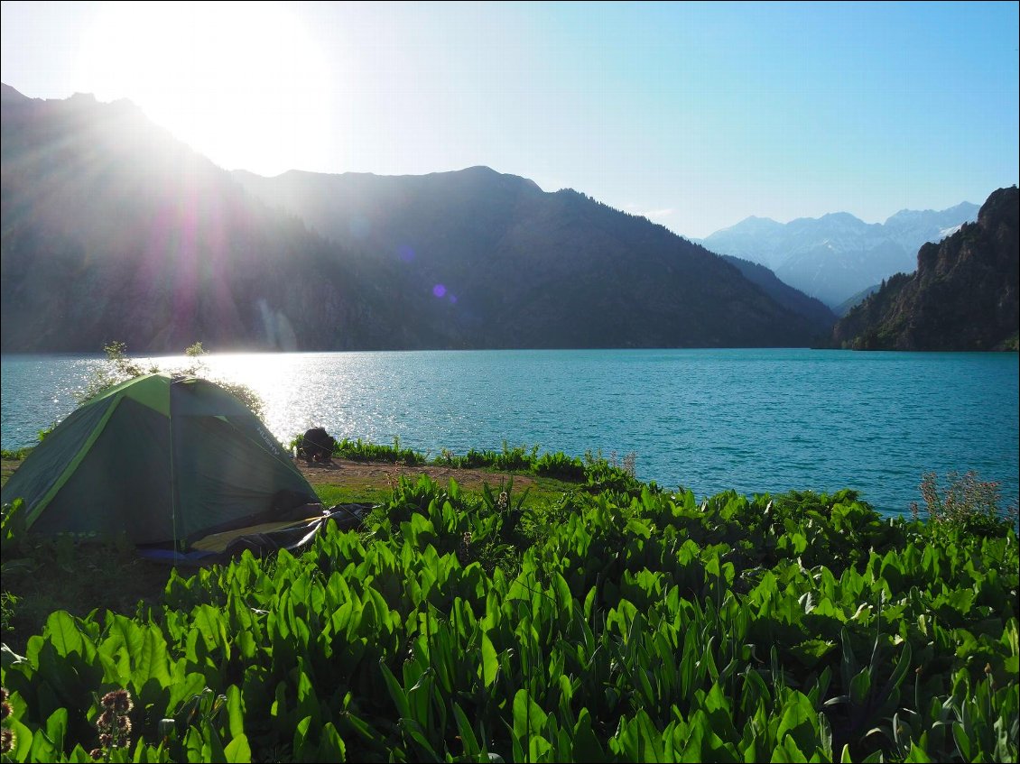 kyrgyzstan : bivouac à Sary chelek