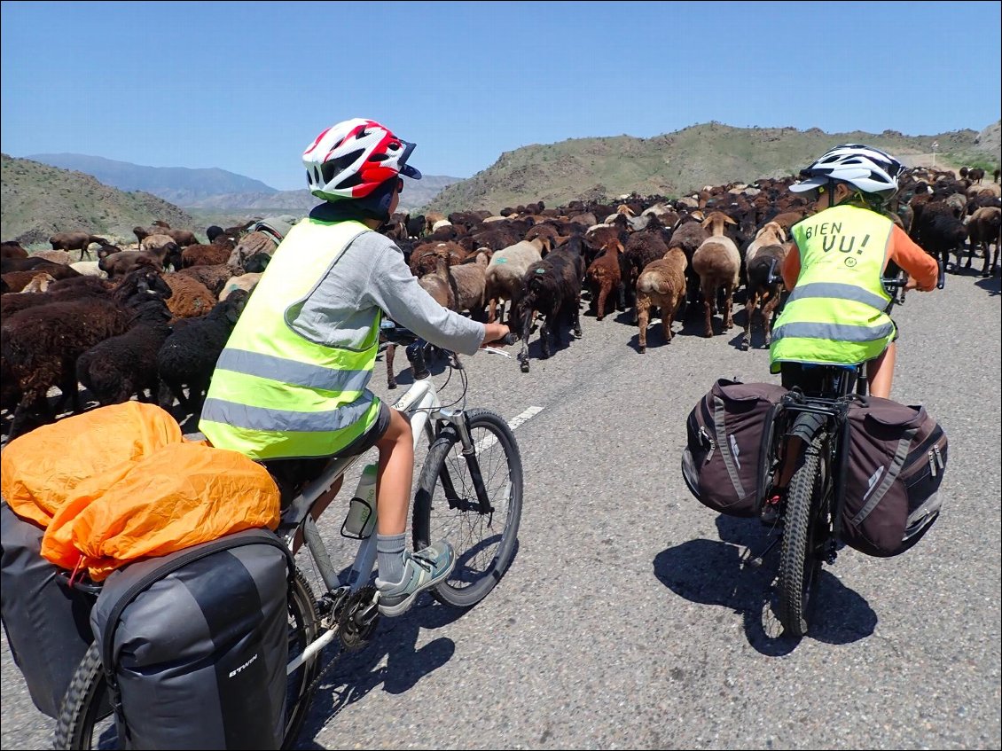 Kyrgyzstan : quelle sensation étonnante que de pédaler au milieu des troupeaux