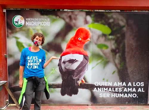 Pérou : rencontre avec la faune et la flore de la région de Cuzco, sa vallée sacrée et sa montagnes aux couleurs
