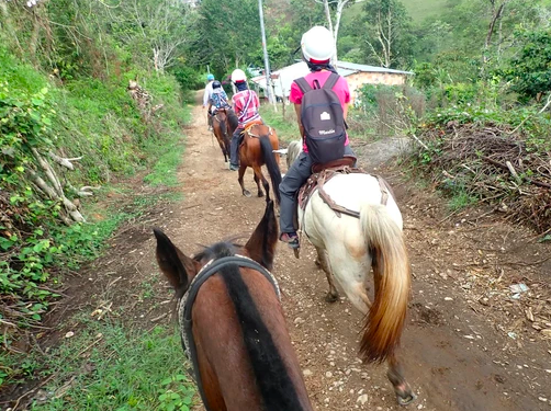 En Colombie, à cheval dans la région cafetière