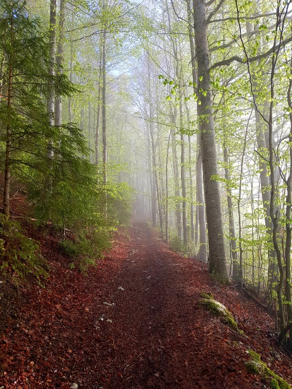 Juste au-dessus de Bois d'Amont (39)