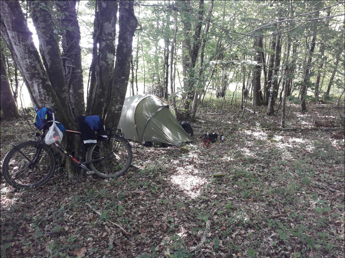 Bivouac en foret a Clérac en Aquitaine.