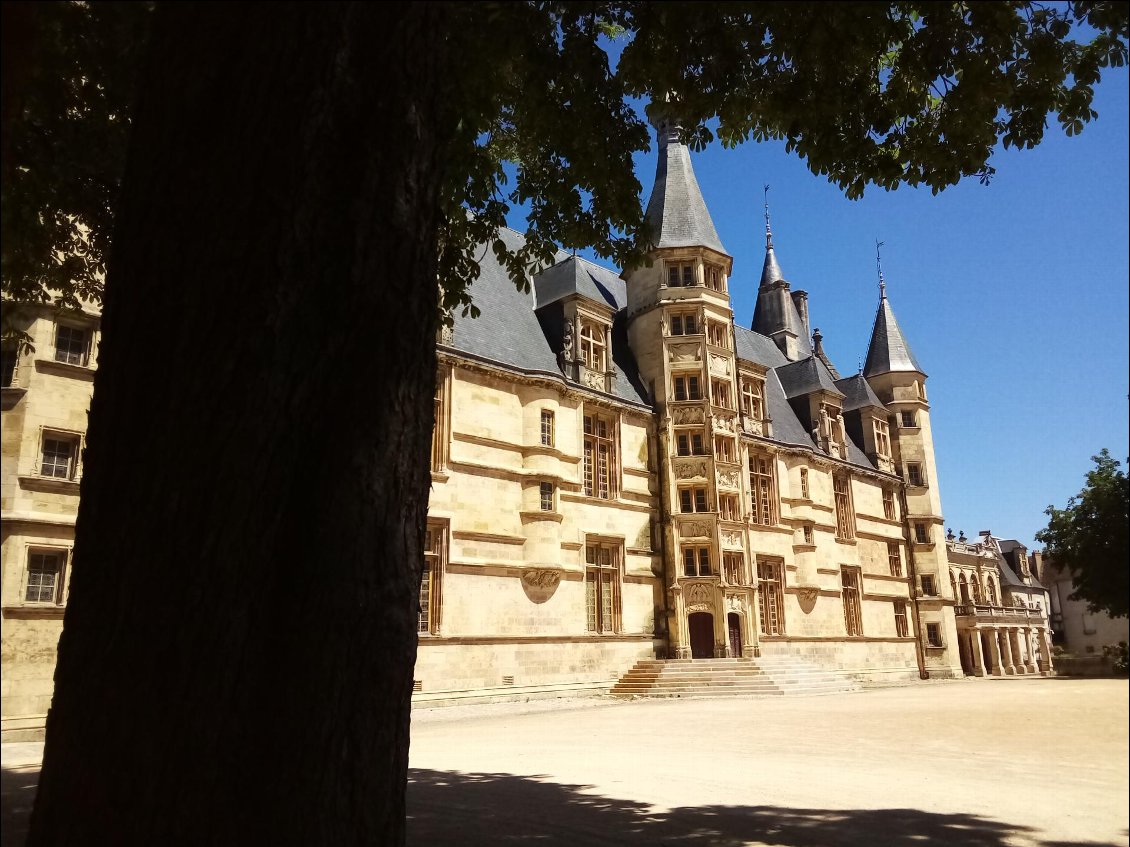 Sieste à l'ombre des tilleuls, face au Palais ducal. Il y à pire...