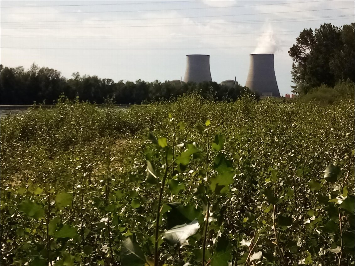 Et oui, j'ai trouvé un endroit pour charger le téléphone.
Centrale nucléaire de Belleville-sur-Loire.
Pas génial comme site je vous l'accorde, surtout pour un écolo, mais il y a portage obligatoire pour passer. Pas le courage ce soir, ce sera pour demain matin. Je ne comptais en fait pas arriver jusqu'ici aujourd'hui.