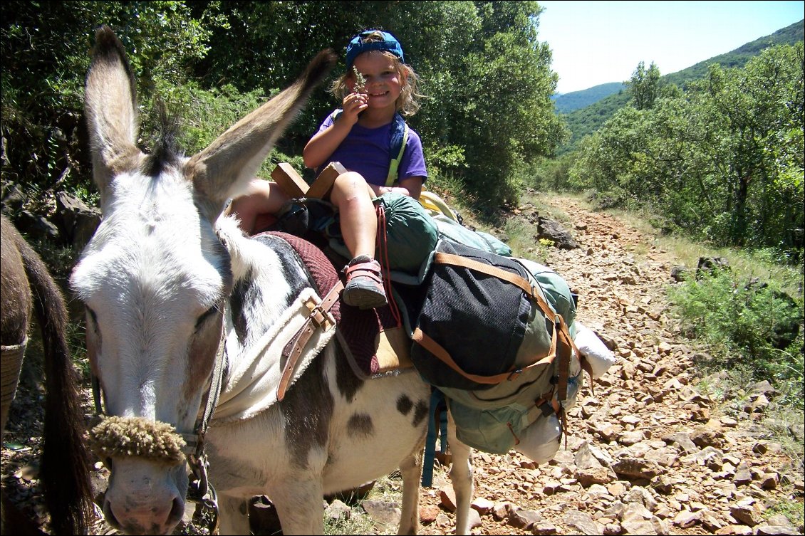 Voyage avec deux ânes dans les Cévennes