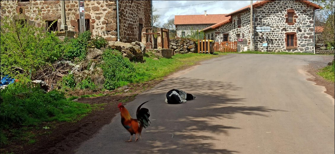 La notion de partage de la route prend toute sa signification.
