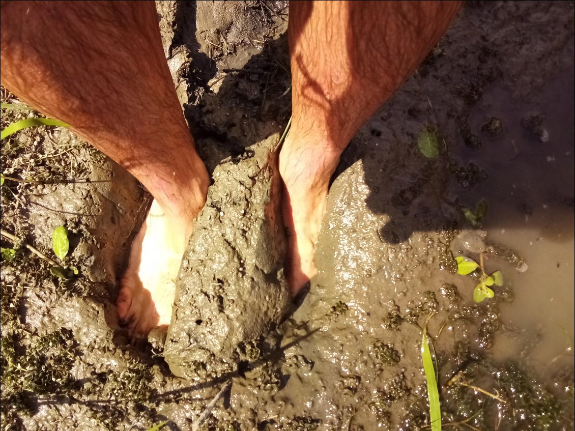 Parfois c'est bain de boue quand on s'arrête.
C'est très bon pour la peau. Jamais je n'ai eu des pieds aussi beaux.