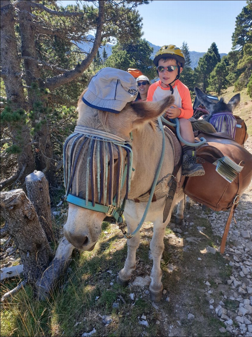 Randonner avec des ânes en famille
Photo Seb Le Meur