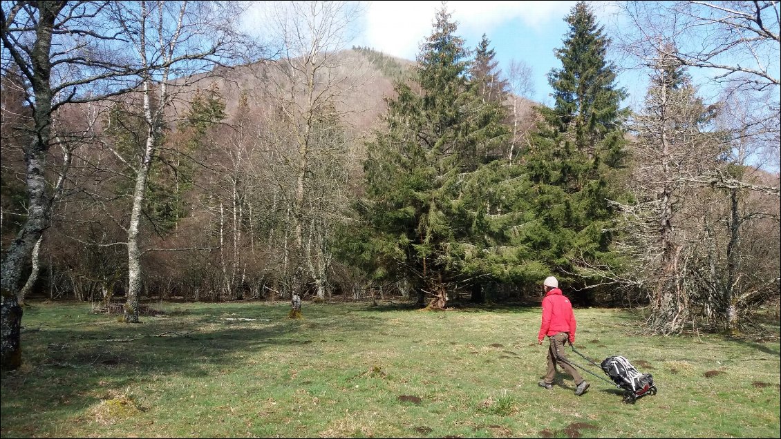 Au pied du puy de Côme, le model X-Trek est parfaitement roulant sur l'herbe.