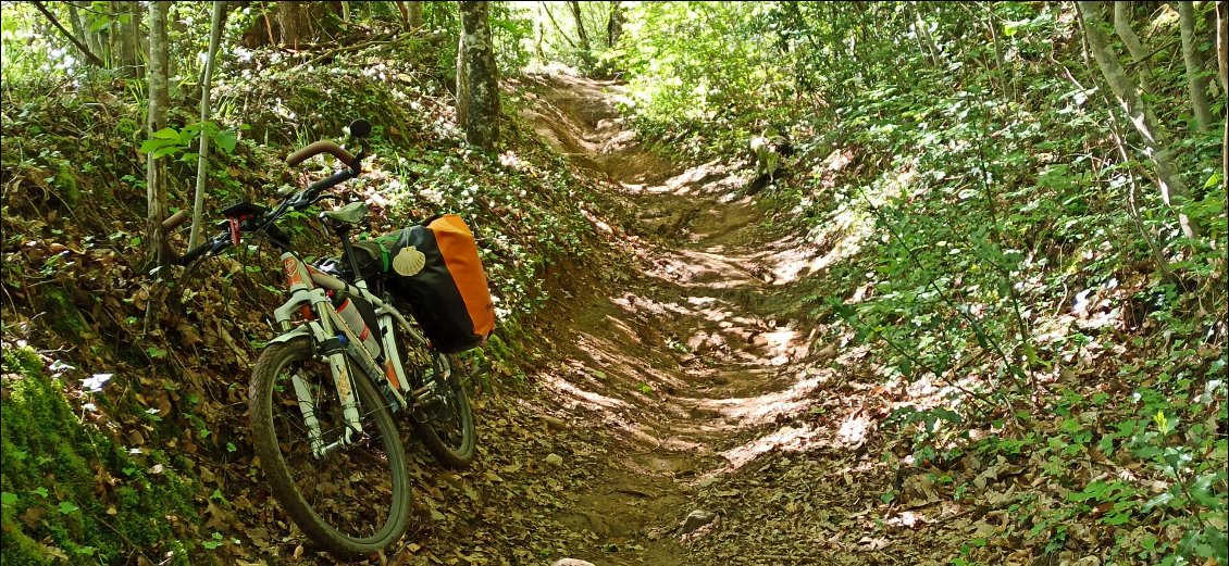 La descente se corse !