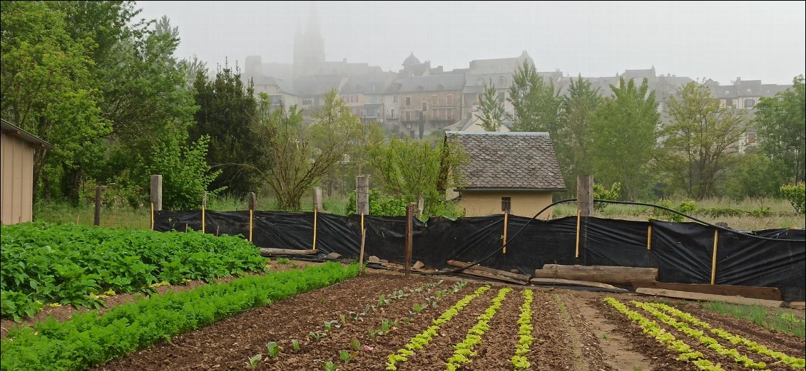 Saint-Côme-d'Olt au petit matin.