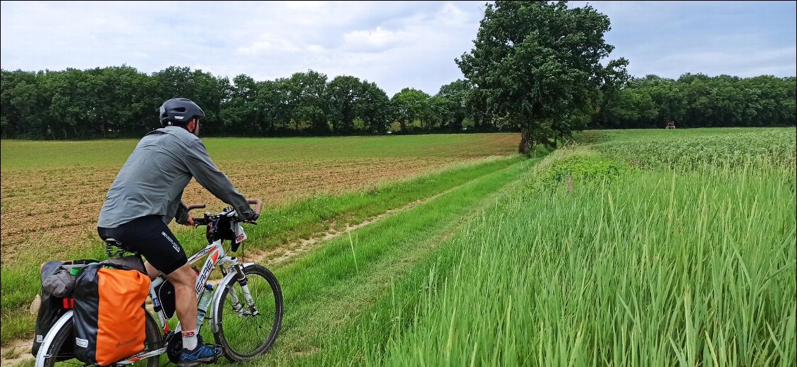 Après le tourisme, retour à la verdure.