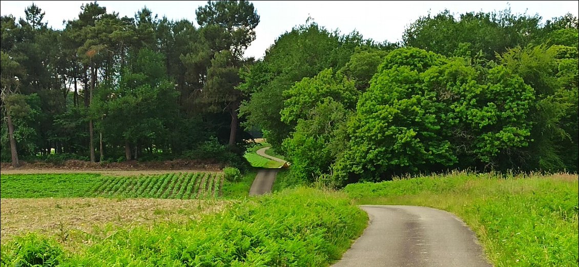 Quel plaisir de rouler sur les petites routes très peu fréquentées. J'en ai particulièrement emprunté dans le Gers.