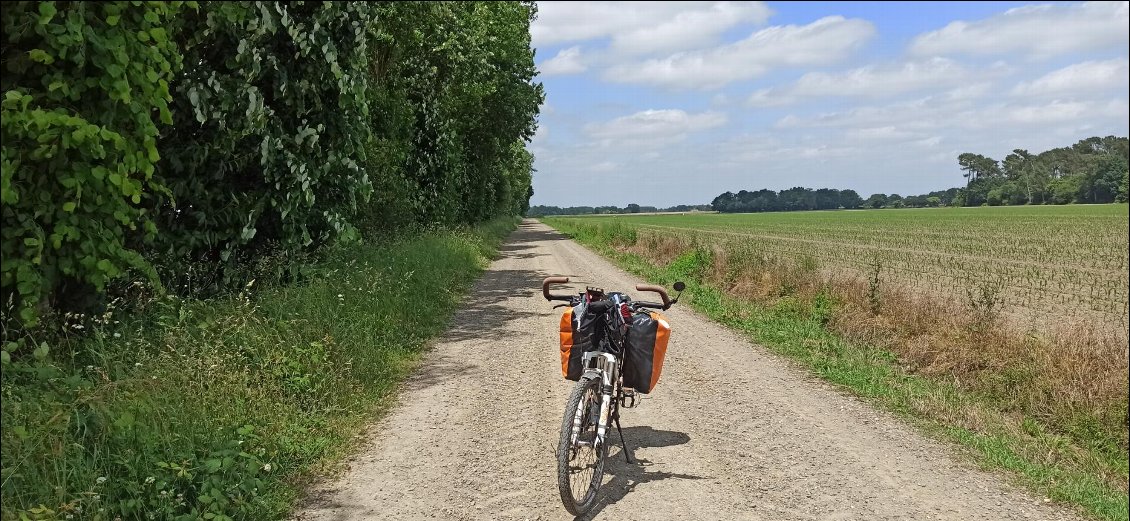C'est plat et c'est en ligne droite : du jamais vu depuis bien longtemps ! Pégase profite de ce petit relâchement pour se faire dorer la pilule 😄
