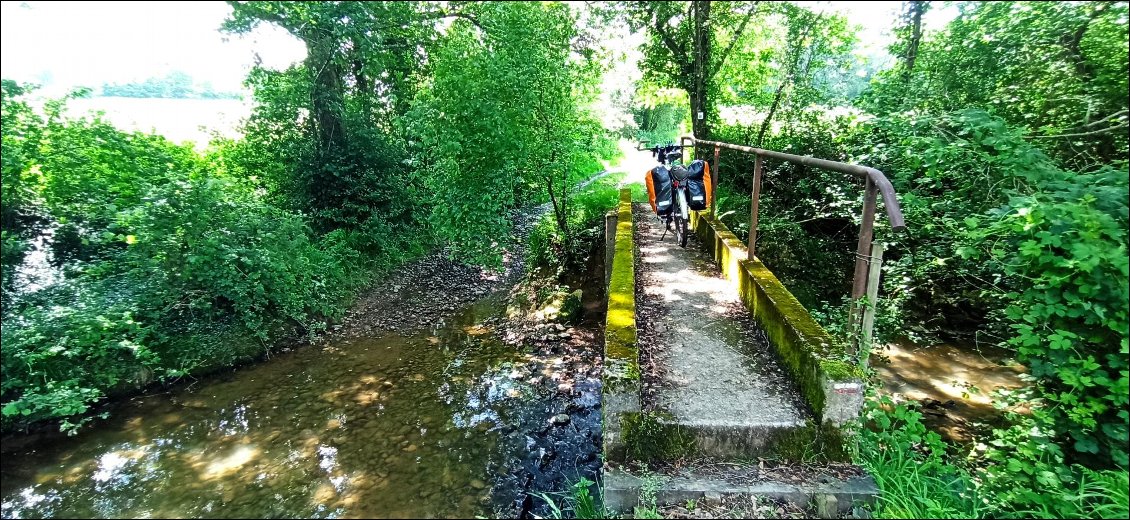 Le chemin de Saint-Jacques (GR65) est toujours très bien aménagé. Ici une petite passerelle pour franchir un cours d'eau les pieds au sec.