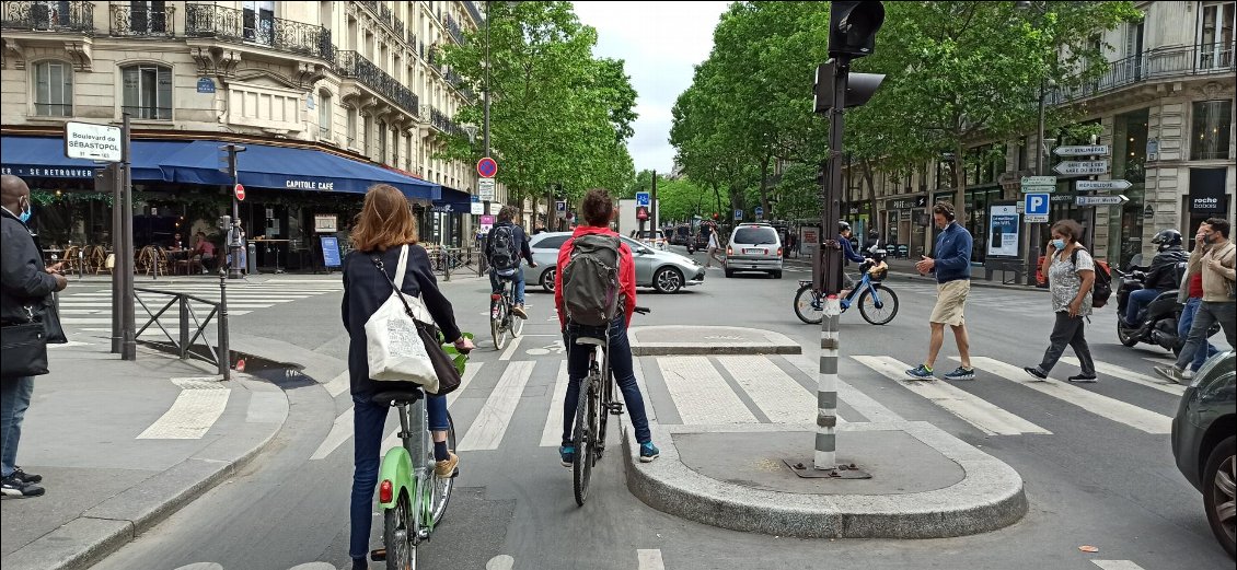 Paris royaume des vélos ? Pas encore, mais en tout cas depuis que j'y ai fait mes études les pistes cyclables se sont bien développées et les vélos y sont nettement plus nombreux.