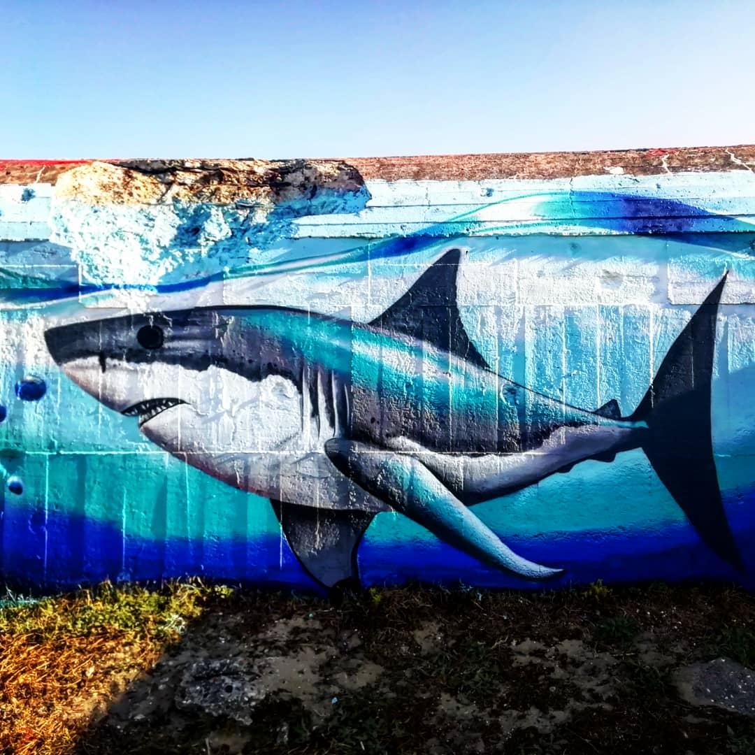 16 Avril, le Mur de l'Atlantique.