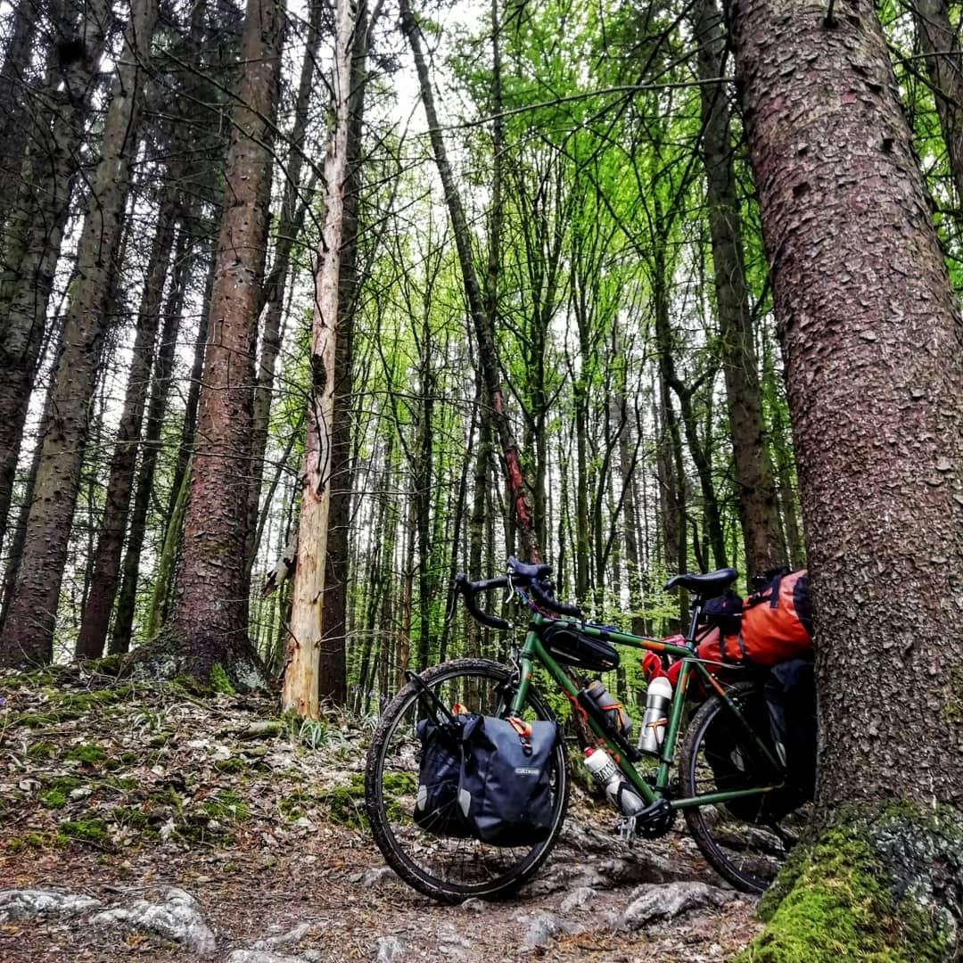 Dans la forêt de Chimay.