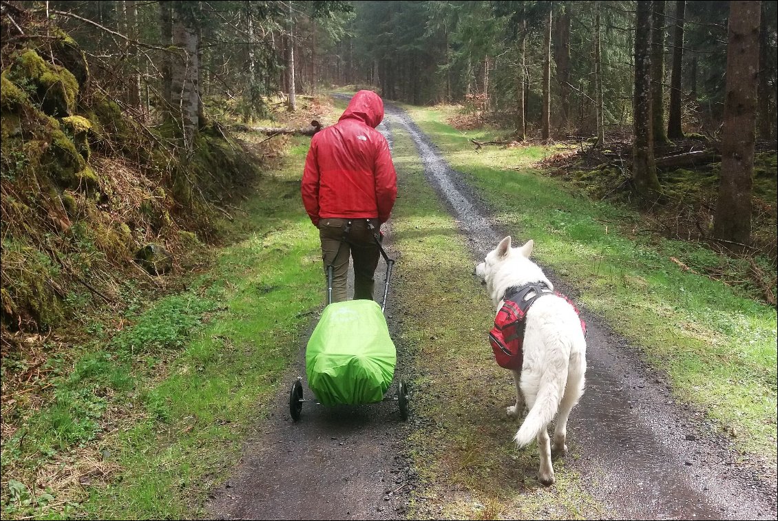 Avec la pluie, nous avons utilisé la protection étanche fournie avec le sac. Tout à fait adapté à ce système, sans aucune modification nécessaire.