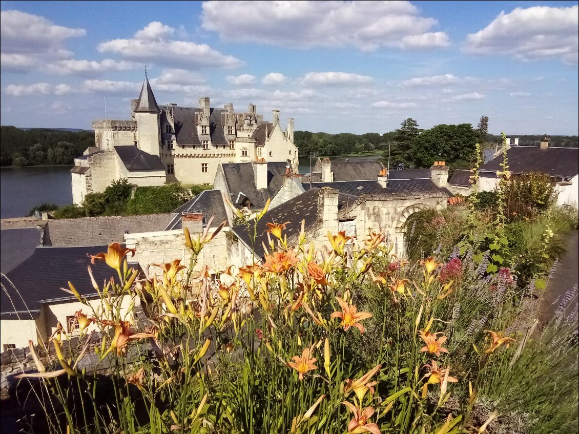 C'était Candes-Saint-Martin, et donc ici Montsoreau et son beau château.