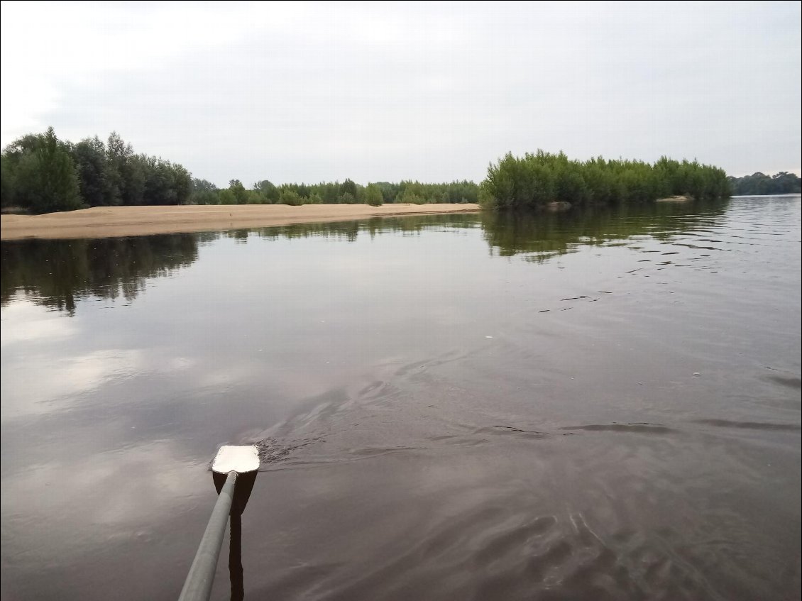 Beaucoup d'îles, couvertes de petits peupliers.