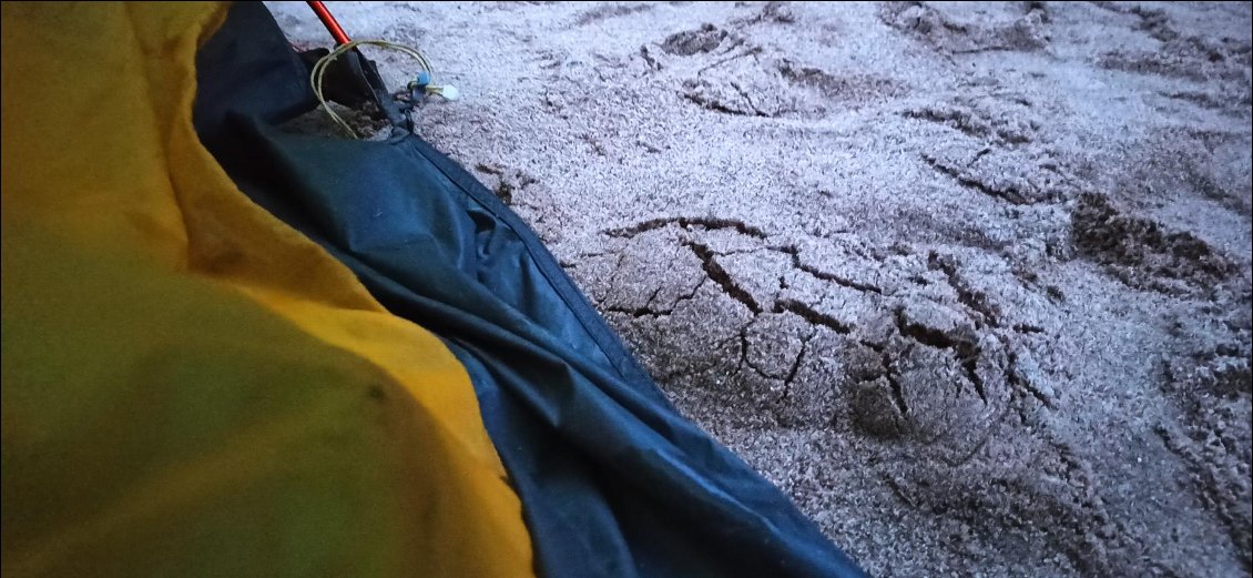 J5. Pendant la nuit j’ai régulièrement été réveillé par un bruit. J’ai d’abord pensé à un rongeur attiré par la nourriture chargée dans le kayak, puis au matin en voyant le sable bougé j’ai compris qu’un animal avait creusé une galerie et était passé sous mon cou. Je n'ai pas ouvert le sable pour ne pas le déranger, du coup je ne sais toujours pas quoi il s’agit… Des idées ?