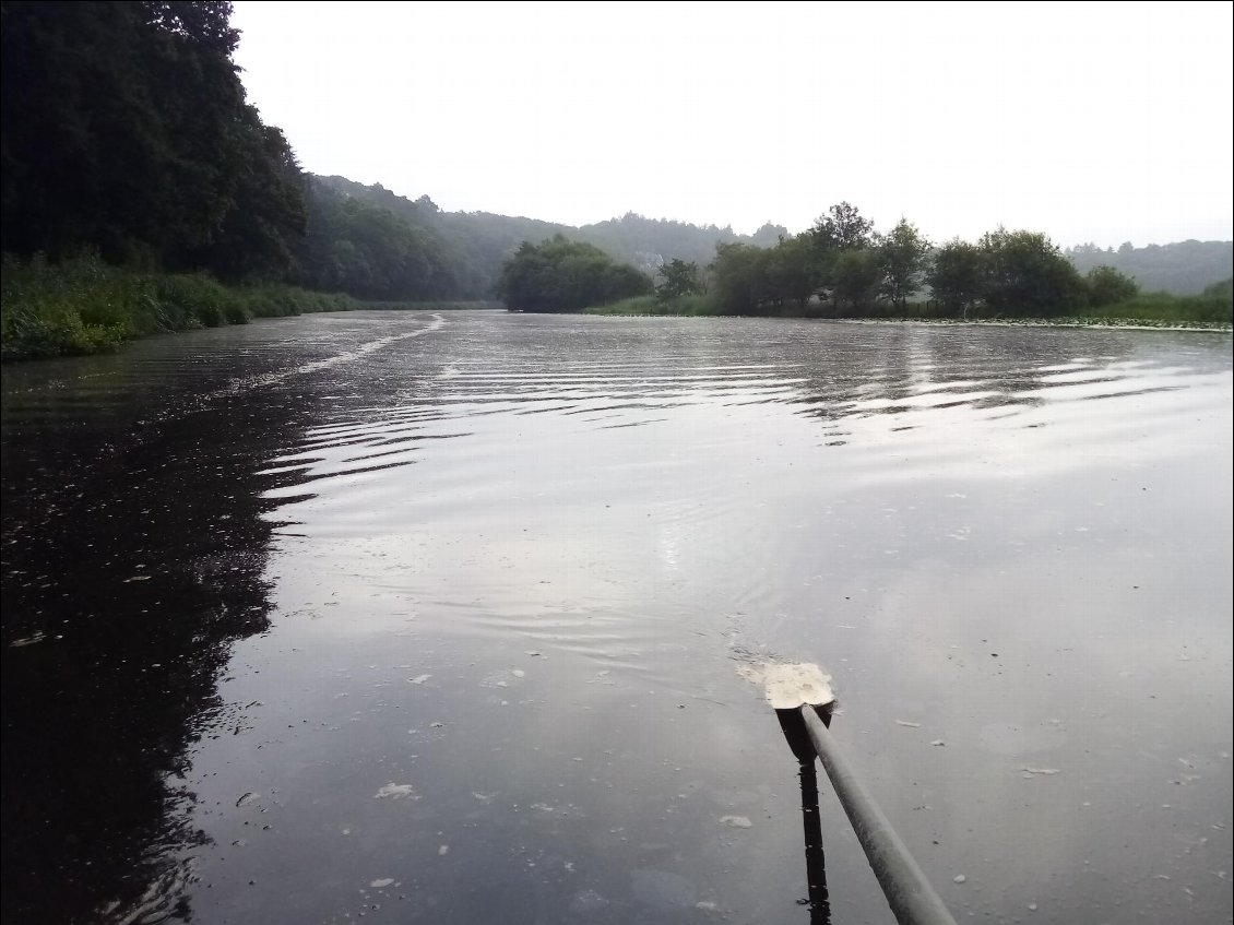 Rapidement, et ce sur 16 km, le canal est 2 à 3 fois plus large. C'est beaucoup plus facile de ramer car il y a le long des berges beaucoup de plantes qui s'accrochent aux pelles : quand le canal est étroit il faut essayer de rester au centre.