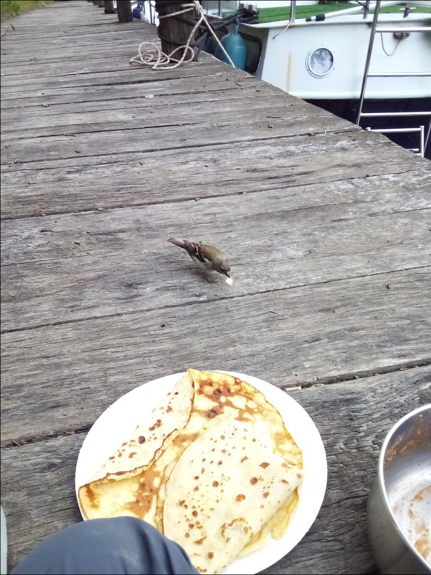Petit oiseau, mon copain
On partage les délicieuses crêpes.