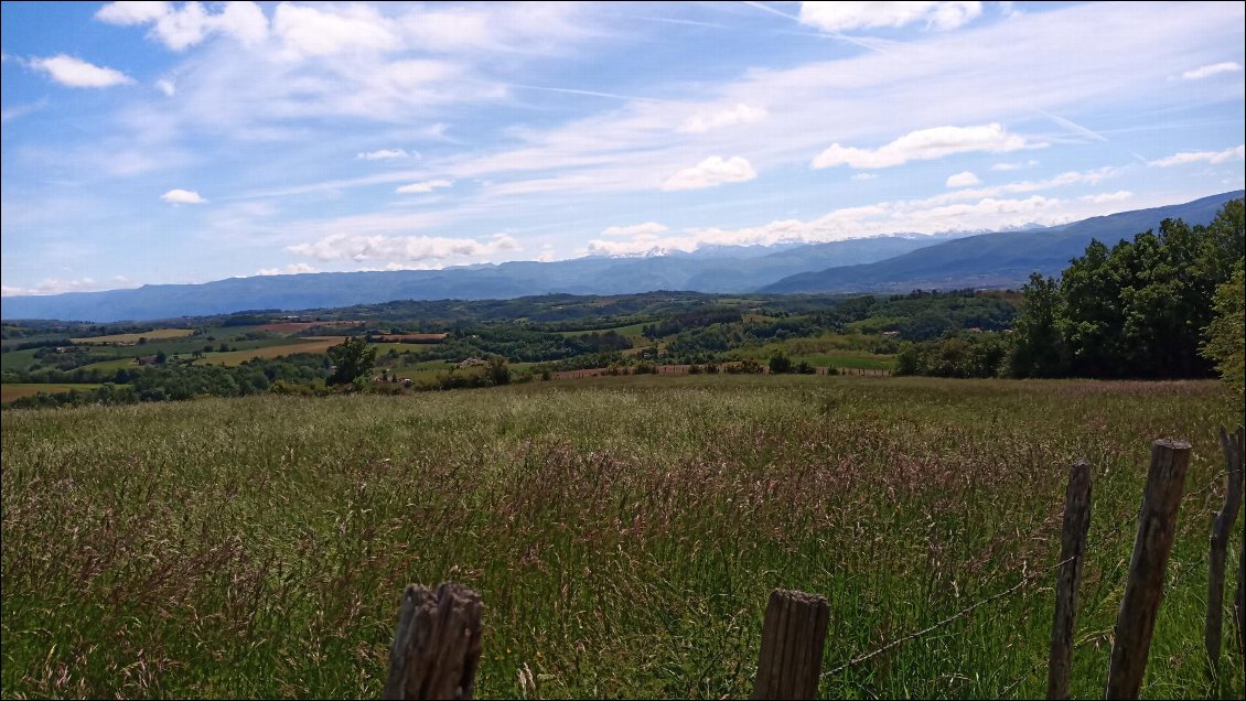 Les alpes enneigées au loin