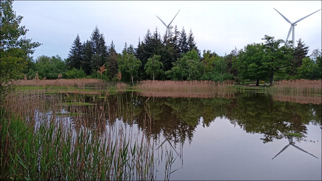 Etang de Joanna Maria