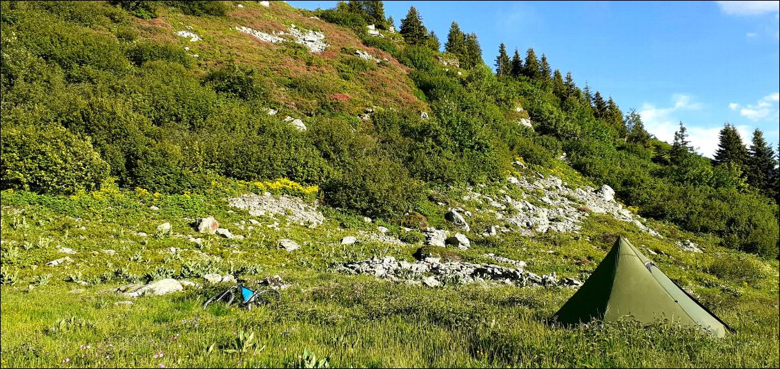 sous le col de cochemine