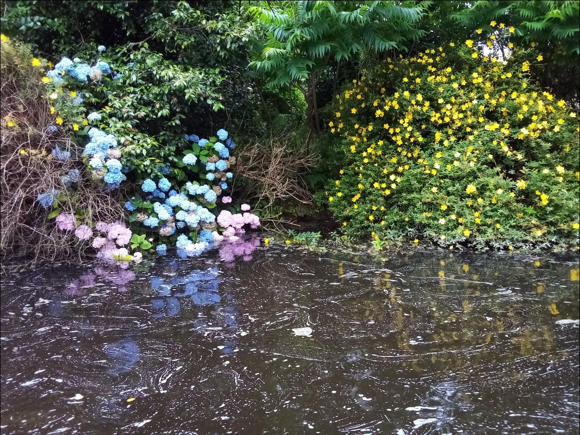 En quittant St Nicolas.
Voici un jardin qui déborde sur l'eau !